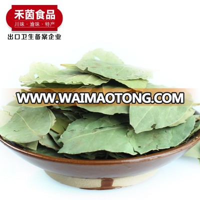 High Quality Natural Spices Bay Leaf Myrcia